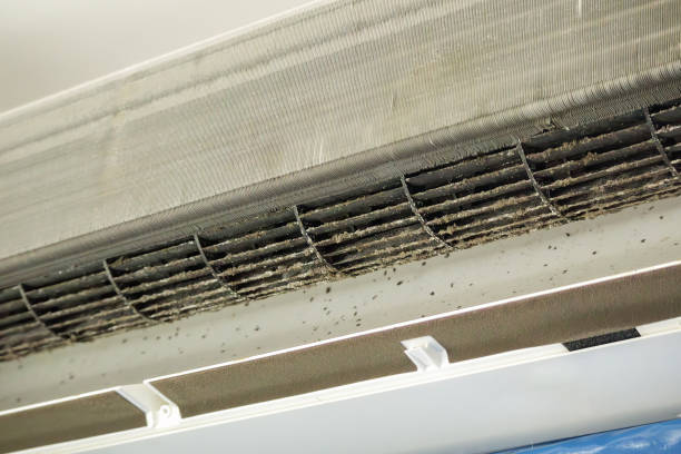 Best Best Air Duct Cleaning Company  in Bushnell, FL
